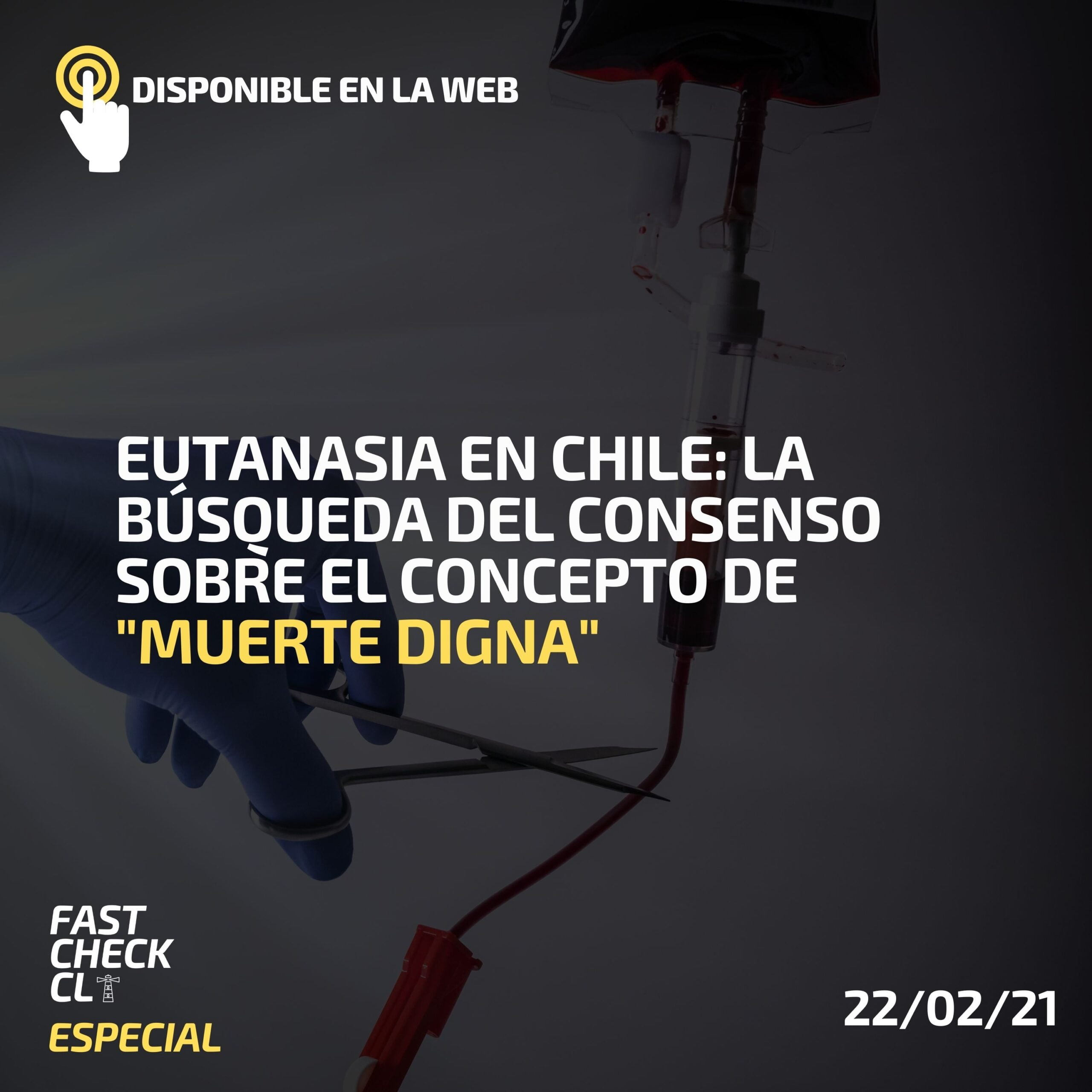 Eutanasia En Chile: La Búsqueda Del Consenso Sobre El Concepto De ...