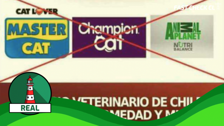 Lee más sobre el artículo Marcas de comida de gato están siendo investigadas por causar enfermedades neuromusculares y muertes en felinos: #Real