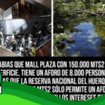 (Imagen): Mallplaza Oeste con una superficie de 150 mil m2, tiene aforo de ocho mil personas, en tanto el Parque Nacional Huerquehue con 125 millones de m2 cuenta con una capacidad máxima de 250: #Real