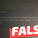 Gabriel Boric: “Tanto color que se da la Dominique Gallego y su único mérito fue mostrar las t… en un reality. Se hizo famosa por p5t1”: #Falso