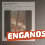 (Video) “Terrorismo en la Araucanía, extranjero quema nuestros bosques en nuestro país”: #Engañoso