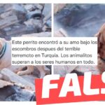 (Imágenes) “Este perrito encontró a su amo bajo los escombros después del terrible terremoto en Turquía”: #Falso