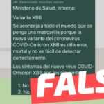 “Ministerio de Salud informa: Se aconseja a todo el mundo que se ponga una mascarilla porque la nueva variante COVID-Omicron XBB es diferente, mortal”: #Falso