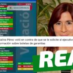 Catalina Pérez votó en contra de solicitud que pide las copias de las boletas de garantía de todos los recursos asignados a fundaciones: #Real