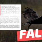 El lunes 11 de marzo, el SAG informó la suspensión de la próxima temporada de caza de aves silvestres: #Falso