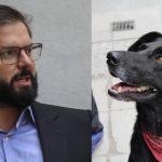 “Jamás festiné ni me hizo ningún sentido esta imagen burda del perro aquel”: presidente Boric sobre el “Perro Matapacos”