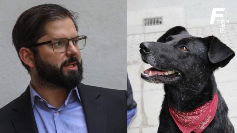 Read more about the article “Jamás festiné ni me hizo ningún sentido esta imagen burda del perro aquel”: presidente Boric sobre el “Perro Matapacos”