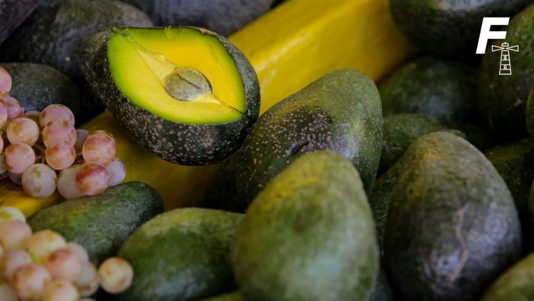 Read more about the article Precio de la palta en Chile se dispara un 41,6% en solo dos años: ¿A que se debe este aumento récord?