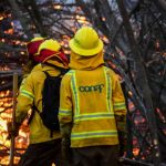 Conaf sufre robo durante investigación por incendios en Viña del Mar y Quilpué: ¿Qué sabemos hasta ahora?