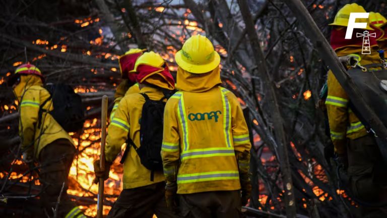 Read more about the article Conaf sufre robo durante investigación por incendios en Viña del Mar y Quilpué: ¿Qué sabemos hasta ahora?