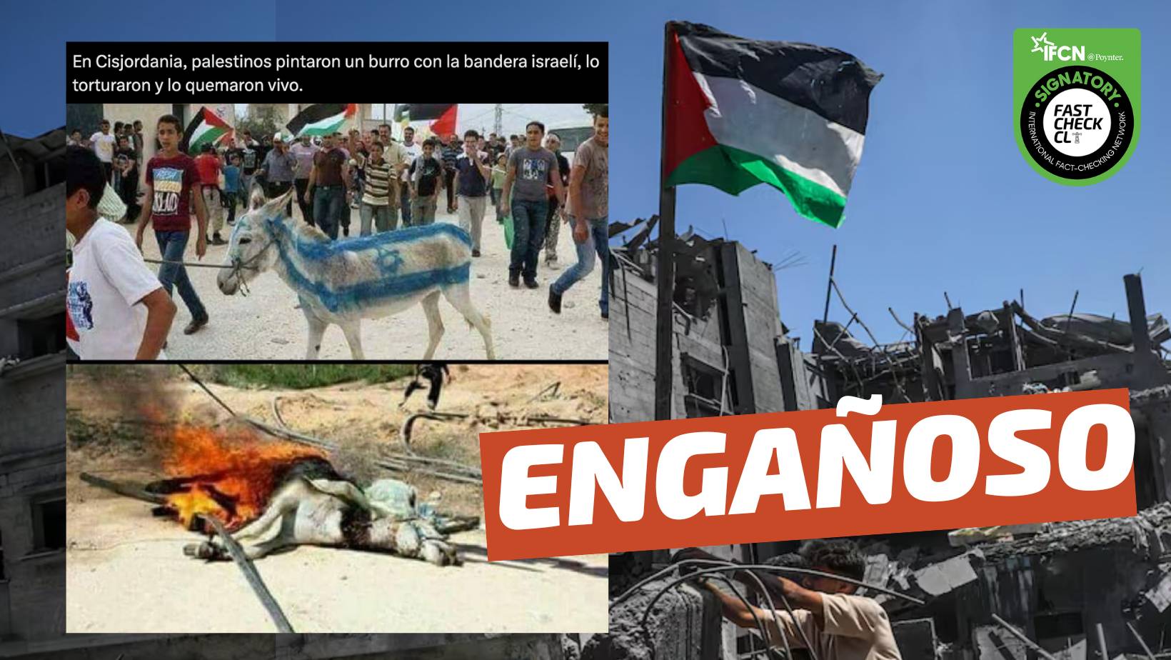 You are currently viewing (Imagen) “Movimientos pro Palestina pintaron un burro con los colores de la bandera de Israel y lo quemaron vivo”: #Engañoso