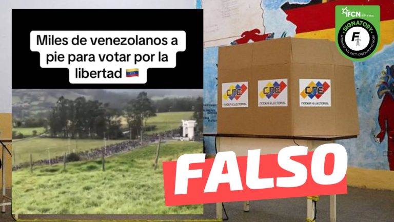 Read more about the article (Video) “Miles de venezolanos a pie para votar por la libertad”: #Falso