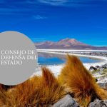 Consejo de Defensa del Estado demanda a minera Quiborax S.A: acusa daño ambiental en el Salar de Surire