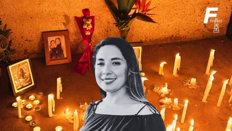 Read more about the article Recibió 97 puñaladas: ¿qué sabemos del asesinato a Camila Rojas y la formalización en contra de Francisco Novoa?