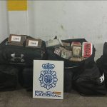 Fue hallada en cargamento de palmitos: policía española incautó 440 kilos de cocaína provenientes de Chile