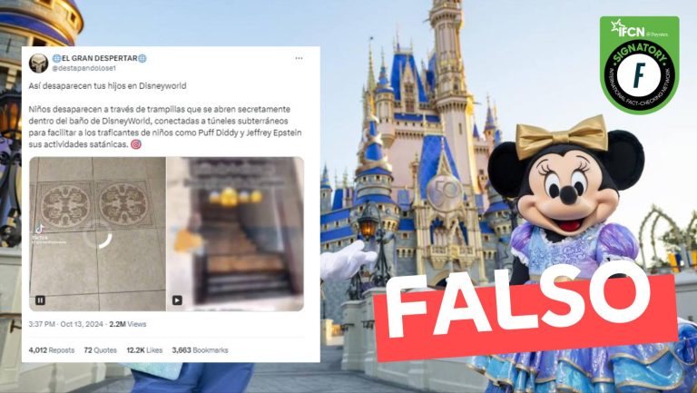 Read more about the article (Video) Niños desaparecen a través de un túnel secreto en Disney World: #Falso