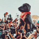 El símbolo olvidado: el perro “negro matapacos”