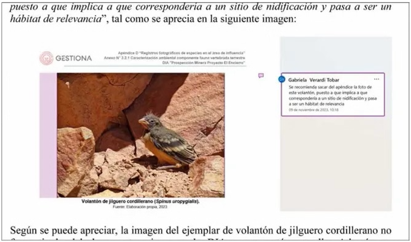 Comentario al interior del DIA de El Encierro en que se recomienda sacar al jilguero.