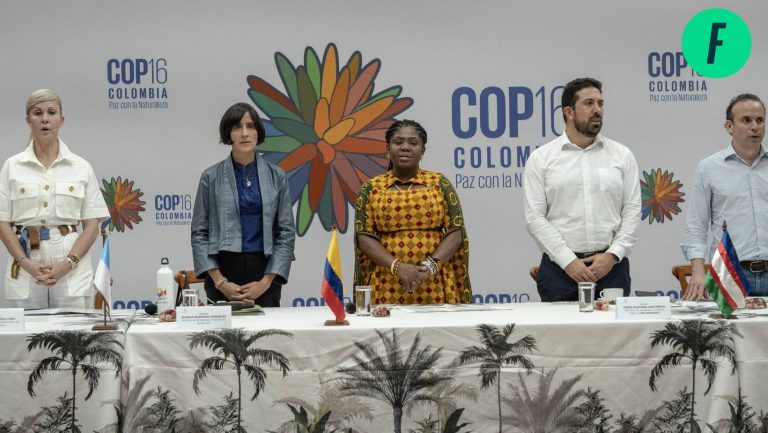 Lee más sobre el artículo ¿Cuáles fueron las últimas determinaciones de la Cumbre mundial COP16?