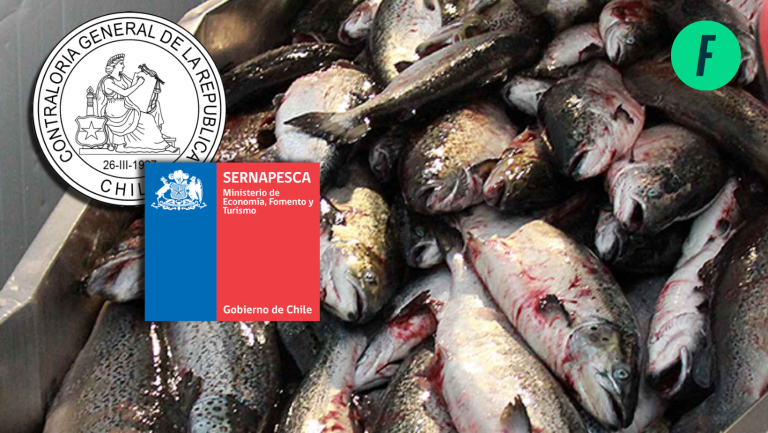 Contraloría audita a Sernapesca por sobreproducción salmonera