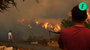 Incendios forestales