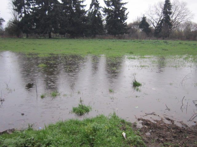 Zona inundable antes de ser rellenada.